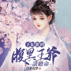 Album 王妃驾到，腹黑王爷请听命 from 追光小队