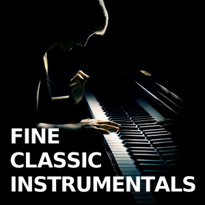 Various Artists的專輯Fine Classic Instrumentals