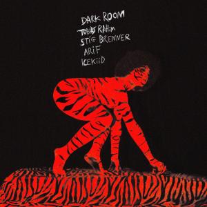 Tobias Rahim的專輯Dark Room REMIX (Tobias Rahim, ICEKIID, Stig Brenner, Arif Murakami) [Explicit]