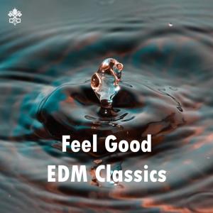 Album Feel Good EDM Classics from Brenton Mattheus