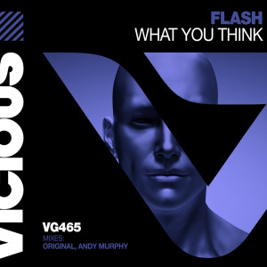 Listen to What You Think (Andy Murphy Remix) song with lyrics from Flash