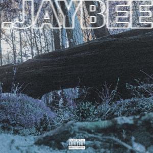 Album Gotta Go (feat. Baxhi) (Explicit) from Jaybee