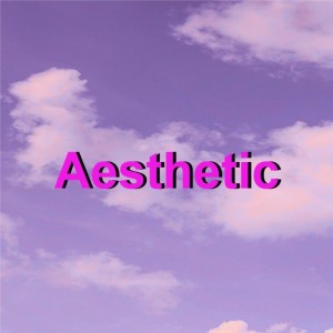 Listen to Aesthetic Remix song with lyrics from Reels