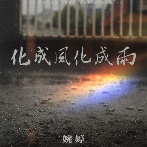 婉婷的专辑化成风化成雨