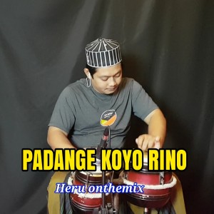 Dengarkan lagu Padange Koyo Rino nyanyian KOPLO AGAIN dengan lirik