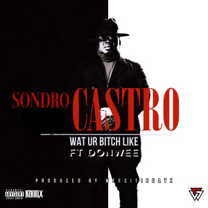 SONDRO CASTRO的專輯WAT UR BITCH LIKE (feat. DONWEE) (Explicit)