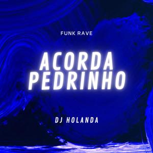 Album RAVE ACORDA PEDRINHO/I KISSED A GIRL from DJ Holanda