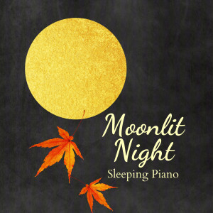 Listen to Notes at Night song with lyrics from Relax α Wave