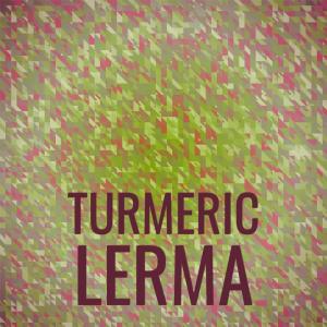 อัลบัม Turmeric Lerma ศิลปิน Various