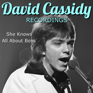 David Cassidy的專輯She Knows All About Boys David Cassidy Recordings