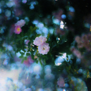 Listen to No Surprises (electric guitar) song with lyrics from Emptiness