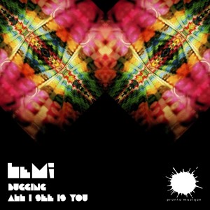ดาวน์โหลดและฟังเพลง Bugging (Instrumental) พร้อมเนื้อเพลงจาก LeMi