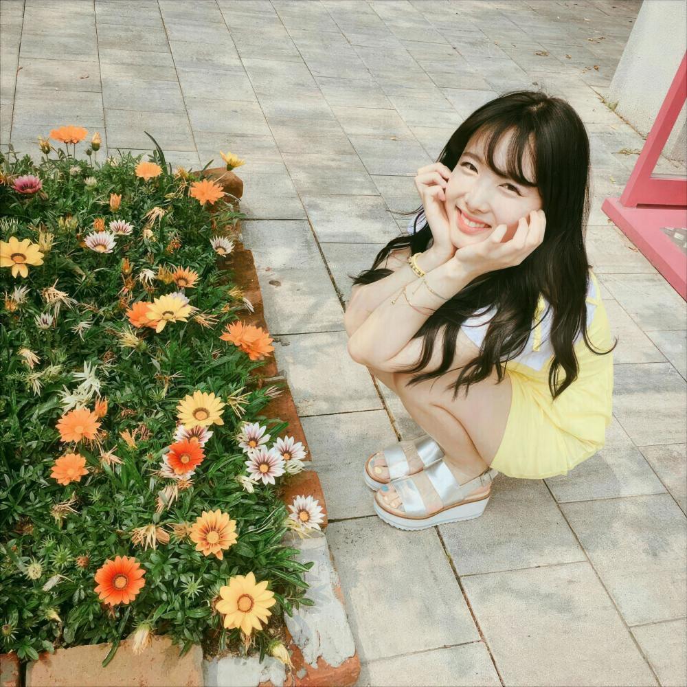 flowerbed