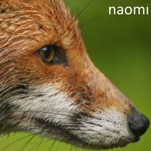 ดาวน์โหลดและฟังเพลง 1850 Hours พร้อมเนื้อเพลงจาก Naomi