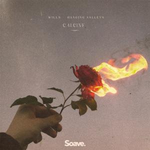 Listen to Calcine song with lyrics from Wills
