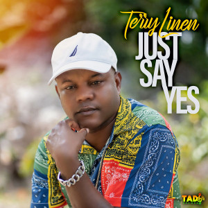 Album Just Say Yes oleh Terry Linen