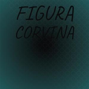 Various的专辑Figura Corvina