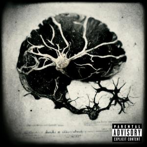 อัลบัม HATIRA (Explicit) ศิลปิน Shan
