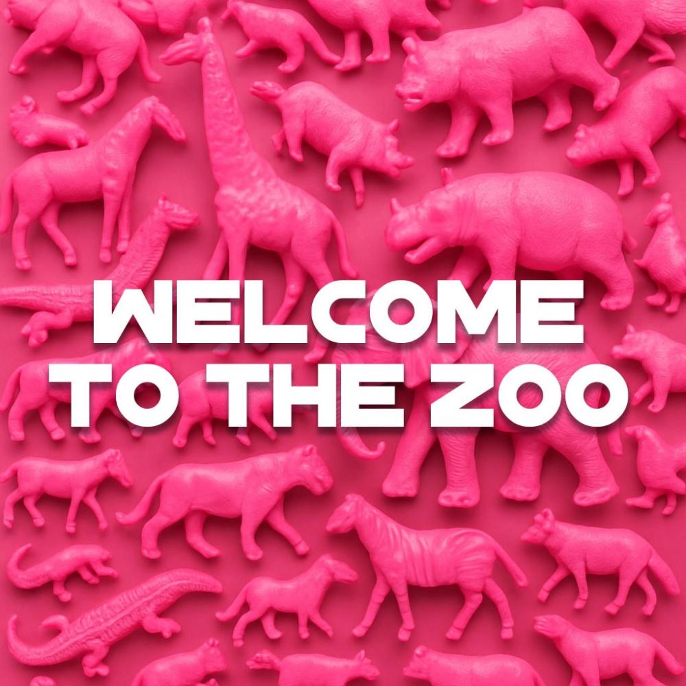 Welcome to the Zoo
