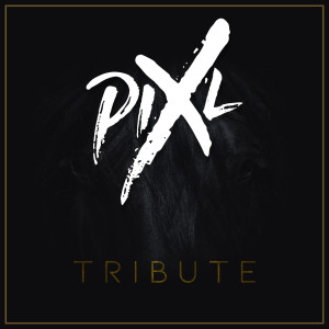 ดาวน์โหลดและฟังเพลง Tribute พร้อมเนื้อเพลงจาก Pix'L