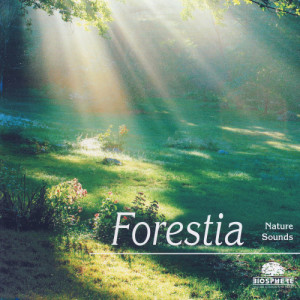 ดาวน์โหลดและฟังเพลง Dawn In Springtime (L'aube Au Printemps) (Explicit) พร้อมเนื้อเพลงจาก BIOSPHERE