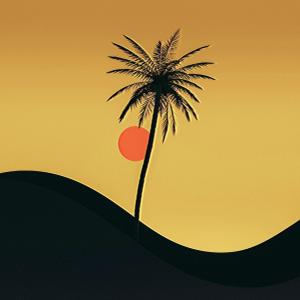 default playlist img