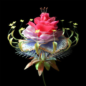 ดาวน์โหลดและฟังเพลง Super Natural พร้อมเนื้อเพลงจาก Danny L Harle