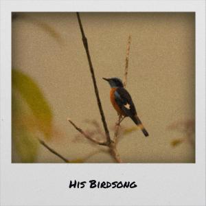 Listen to Thee Besides song with lyrics from Johny Totte