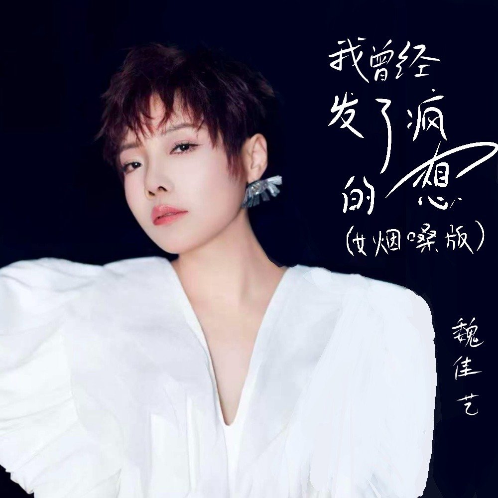 我曾经发了疯的想 (DJ默涵版伴奏)