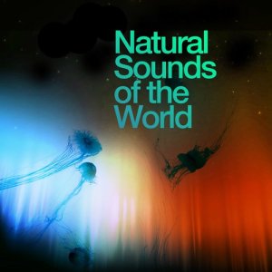 ดาวน์โหลดและฟังเพลง Brook at Dusk พร้อมเนื้อเพลงจาก Natural Sounds
