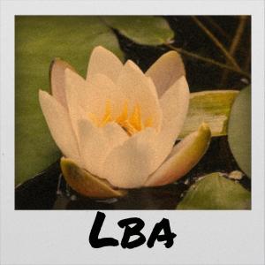 ดาวน์โหลดและฟังเพลง Largish Forcefully พร้อมเนื้อเพลงจาก Juss Ecco