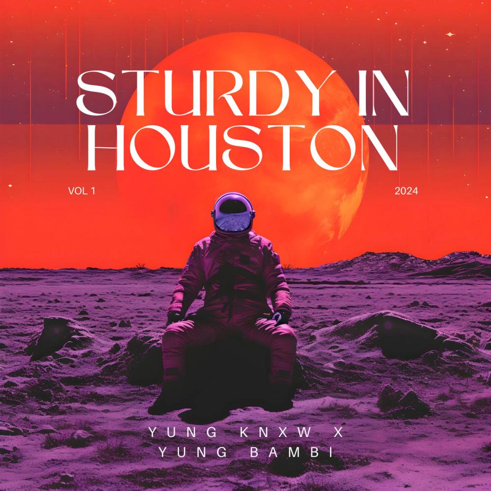 Sturdy In Houston (feat. Yung Bambi) (Explicit)