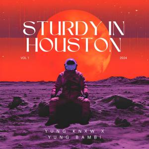YUNG BAMBI的專輯Sturdy In Houston (feat. Yung Bambi) [Explicit]