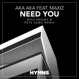 Album Need You (Who Knows & Pete Sabo Remix) from AKA AKA