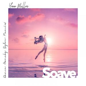 Dance Monkey (Sylow Remix) dari Yann Muller