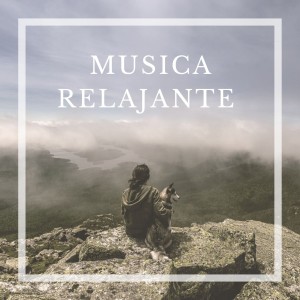 Listen to Suaves Melodías song with lyrics from Dj Perreo