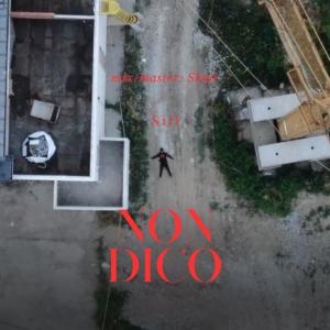 อัลบัม non dico (Explicit) ศิลปิน S1O