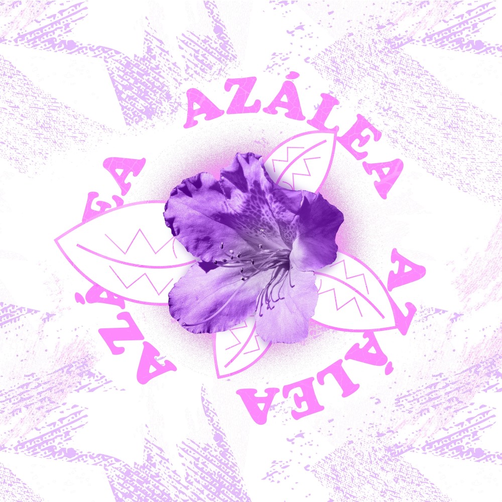 Azálea