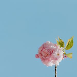 收聽itsokaylove的caroline (feat. Mota)歌詞歌曲