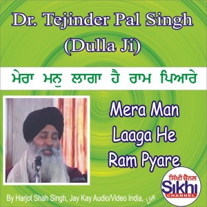 Dr. Tejinder Pal Singh Dulla Ji的專輯Mera Man Laaga He Ram Pyare