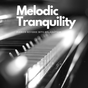 Melodic Tranquility: Piano's Reverie into Relaxation