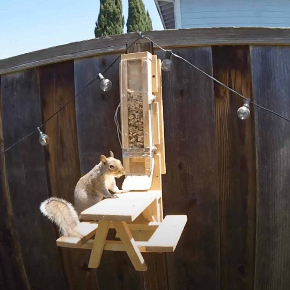 Nik (Mark Rober Version)