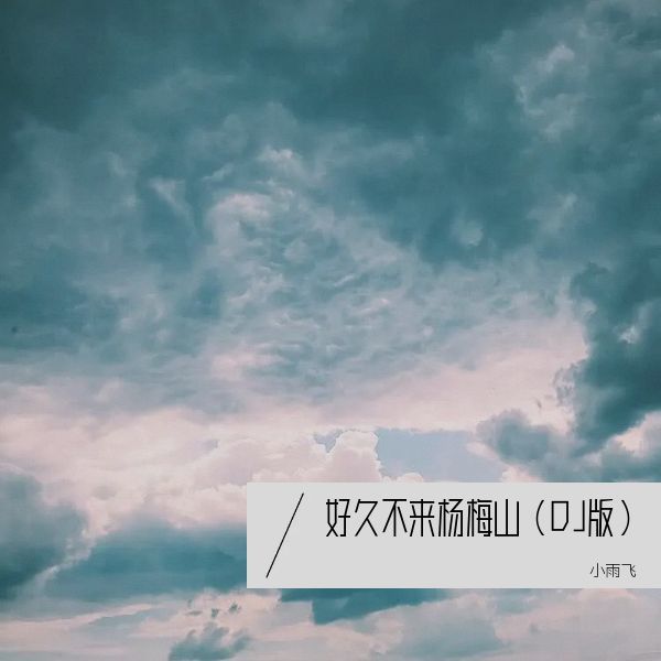 好久不来杨梅山（ DJ何鹏版） (完整版)