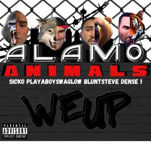 ดาวน์โหลดและฟังเพลง ALAMO ANIMALS (feat. Sicko The Klown, Blunt Steve & Dense1) (Explicit) พร้อมเนื้อเพลงจาก Playaboyswag Low