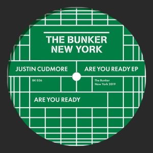 ดาวน์โหลดและฟังเพลง Are You Ready (Gunnar Haslam Bass and Superstructure) พร้อมเนื้อเพลงจาก Justin Cudmore