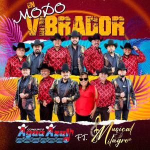 收聽Conjunto Agua Azul的En Modo Vibrador歌詞歌曲