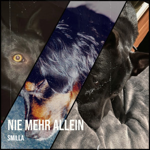 收听Smilla的Nie Mehr Allein歌词歌曲