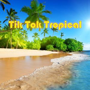 Dengarkan lagu Tropical nyanyian Music Died With Dad dengan lirik