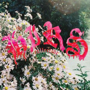 收聽The Hirs Collective的Invisible歌詞歌曲