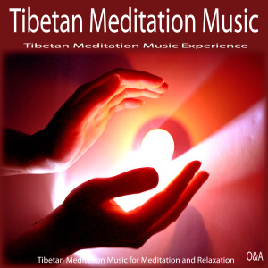 Dengarkan Tibetan Meditation Bowl lagu dari Meditation: Tibetan Music Experience dengan lirik